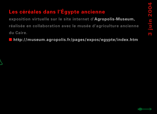 actualité de l'Égypte, actualite de l'Egypte